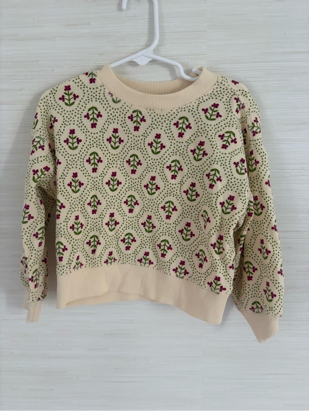 Hanna Andersson Cream Crewneck Sweater with Pink & Green Floral Motif
